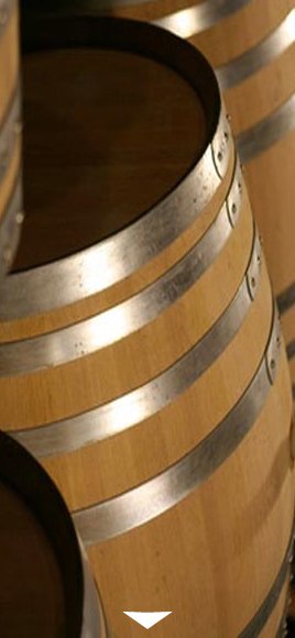 Spiritueux & Caves – architecture de chais et domaines viticoles